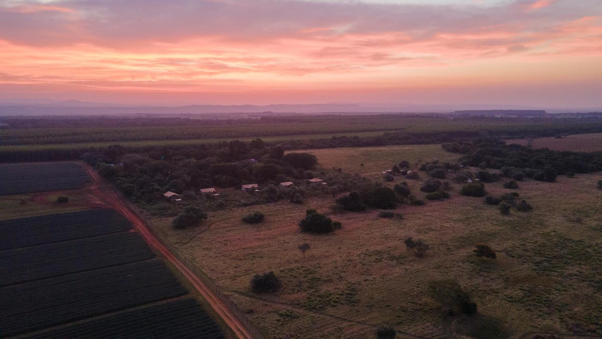 Campismo de Luxo Bush Camp