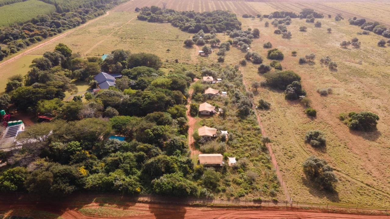 Bush Camp Campismo de Luxo