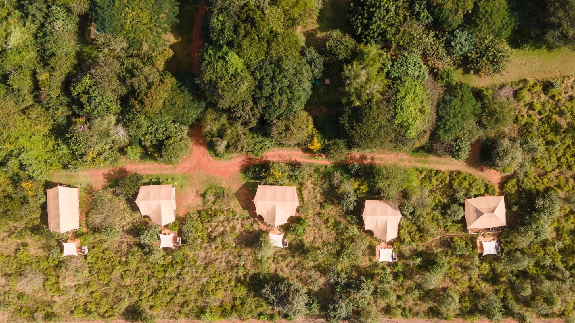 Bush Camp Campismo de Luxo